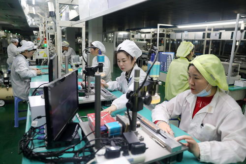 安徽淮北 承接产业转移助力转型发展，携手郑州软件开发实现经济新突破